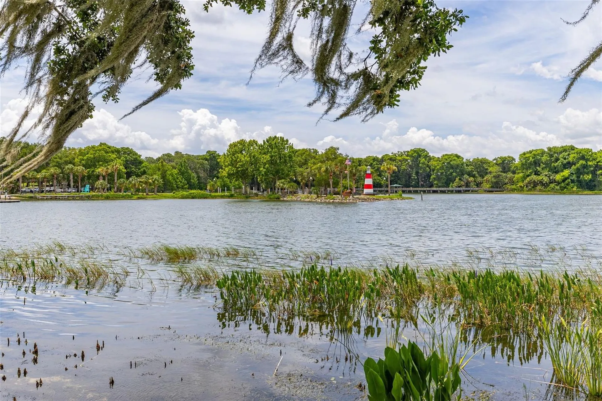 367 August Fern Loop Mount Dora FL 32757