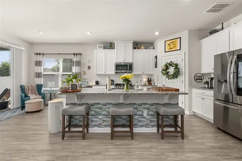 367 August Fern Loop Mount Dora FL 32757