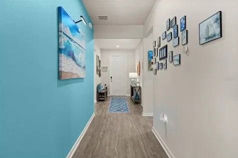 367 August Fern Loop Mount Dora FL 32757