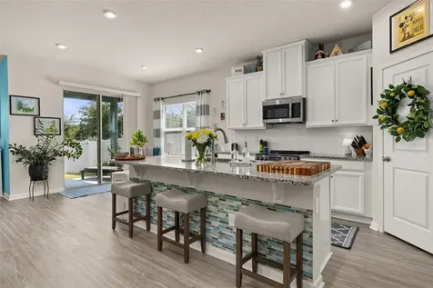 367 August Fern Loop Mount Dora FL 32757