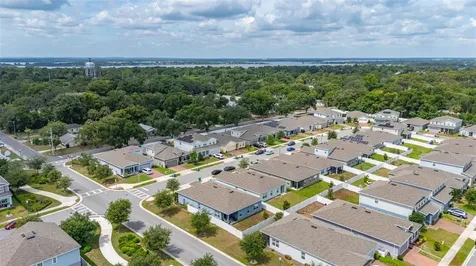 367 August Fern Loop Mount Dora FL 32757