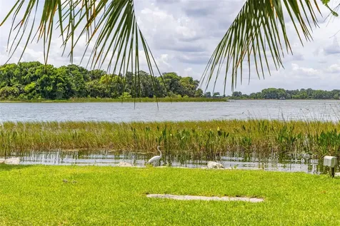 367 August Fern Loop Mount Dora FL 32757