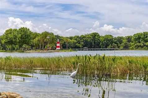 367 August Fern Loop Mount Dora FL 32757