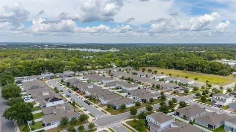 367 August Fern Loop Mount Dora FL 32757