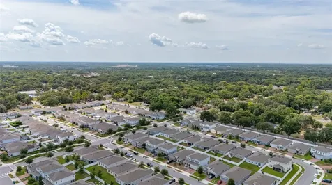 367 August Fern Loop Mount Dora FL 32757