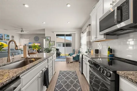367 August Fern Loop Mount Dora FL 32757