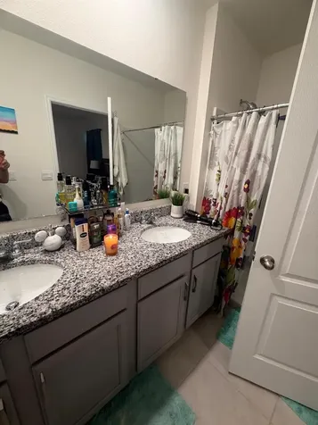 2439 Violet Shelton Court Sanford FL 32773