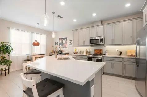 4833 San Martino Drive Wesley Chapel FL 33543