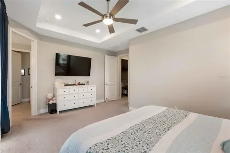 4833 San Martino Drive Wesley Chapel FL 33543