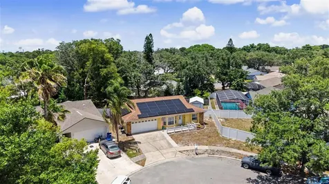 6325 SE Sarah Lane New Port Richey FL 34653