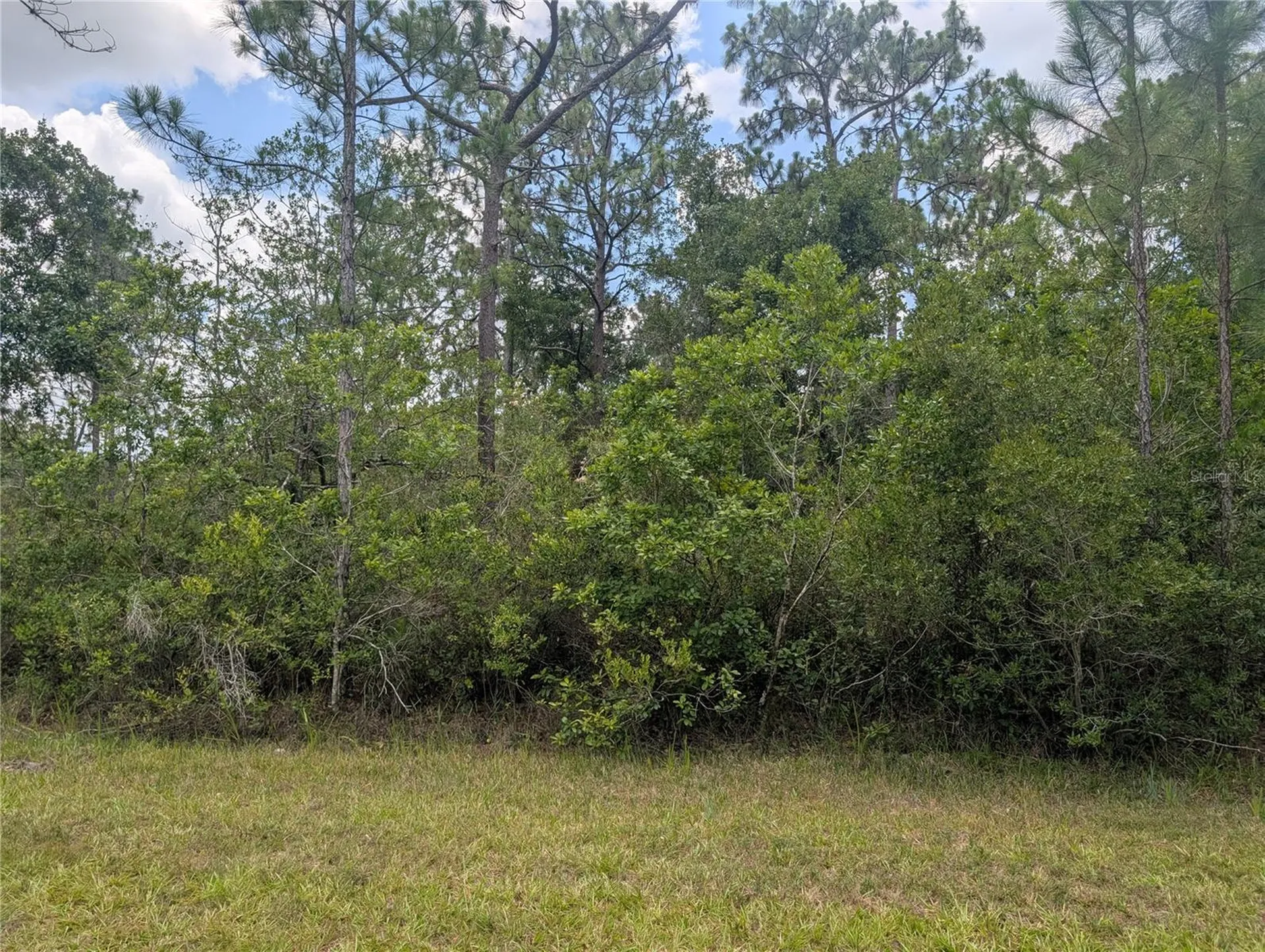 519 Camellia Drive Indian Lake Estates FL 33855