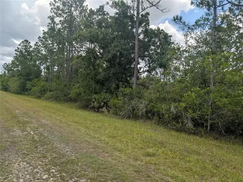 519 Camellia Drive Indian Lake Estates FL 33855
