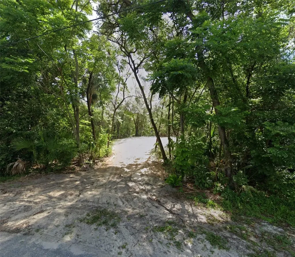 2980 N Sparkman Avenue Orange City FL 32763