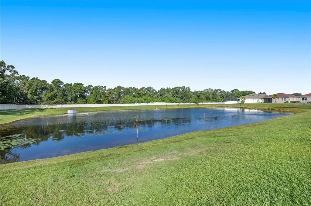 10452 Laguna Plains Drive Riverview FL 33578