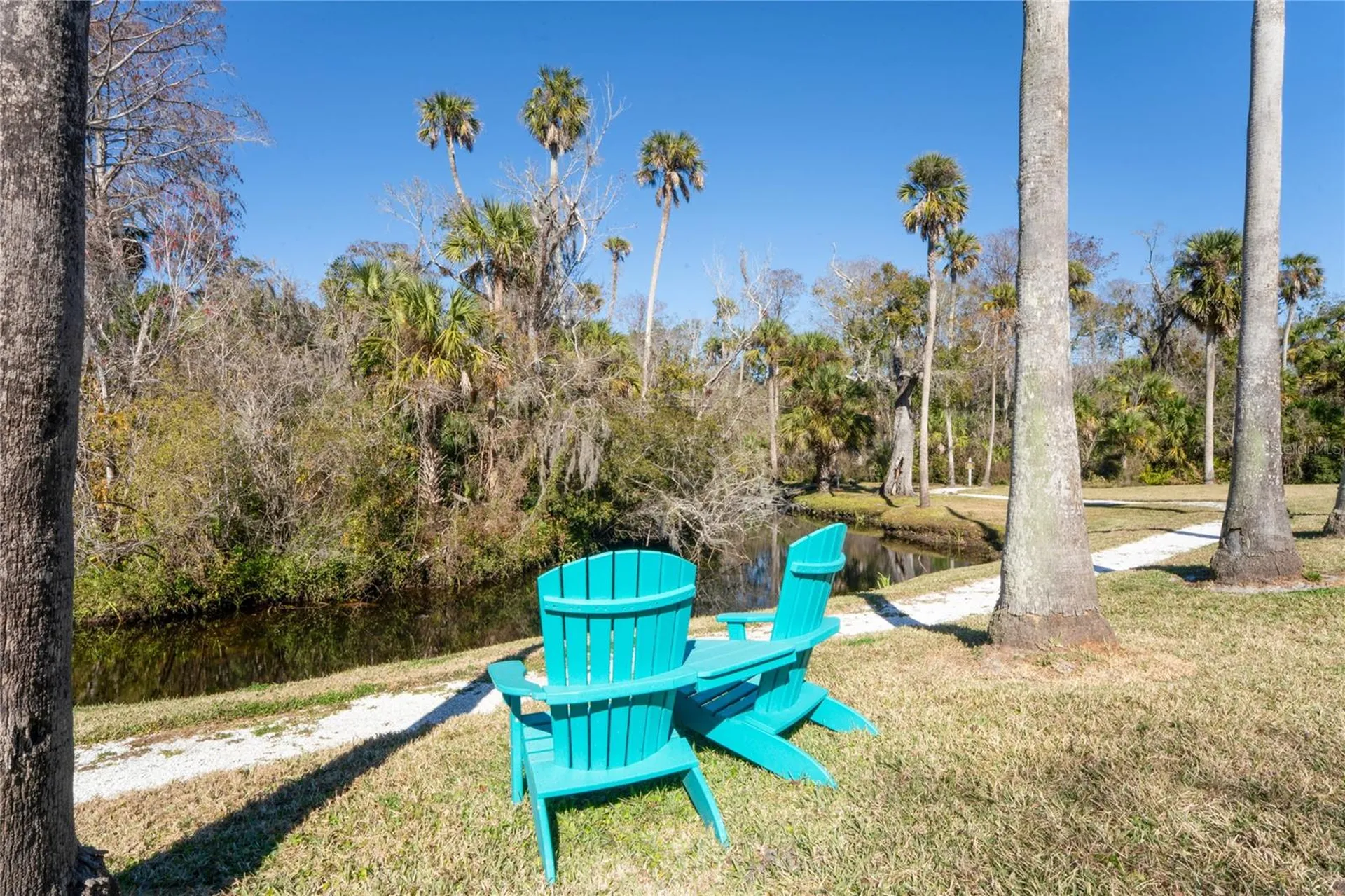 5355 Riverwalk Preserve Drive New Port Richey FL 34653