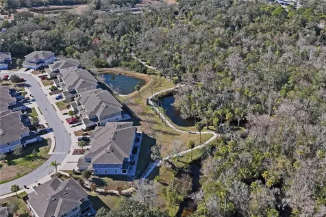 5355 Riverwalk Preserve Drive New Port Richey FL 34653