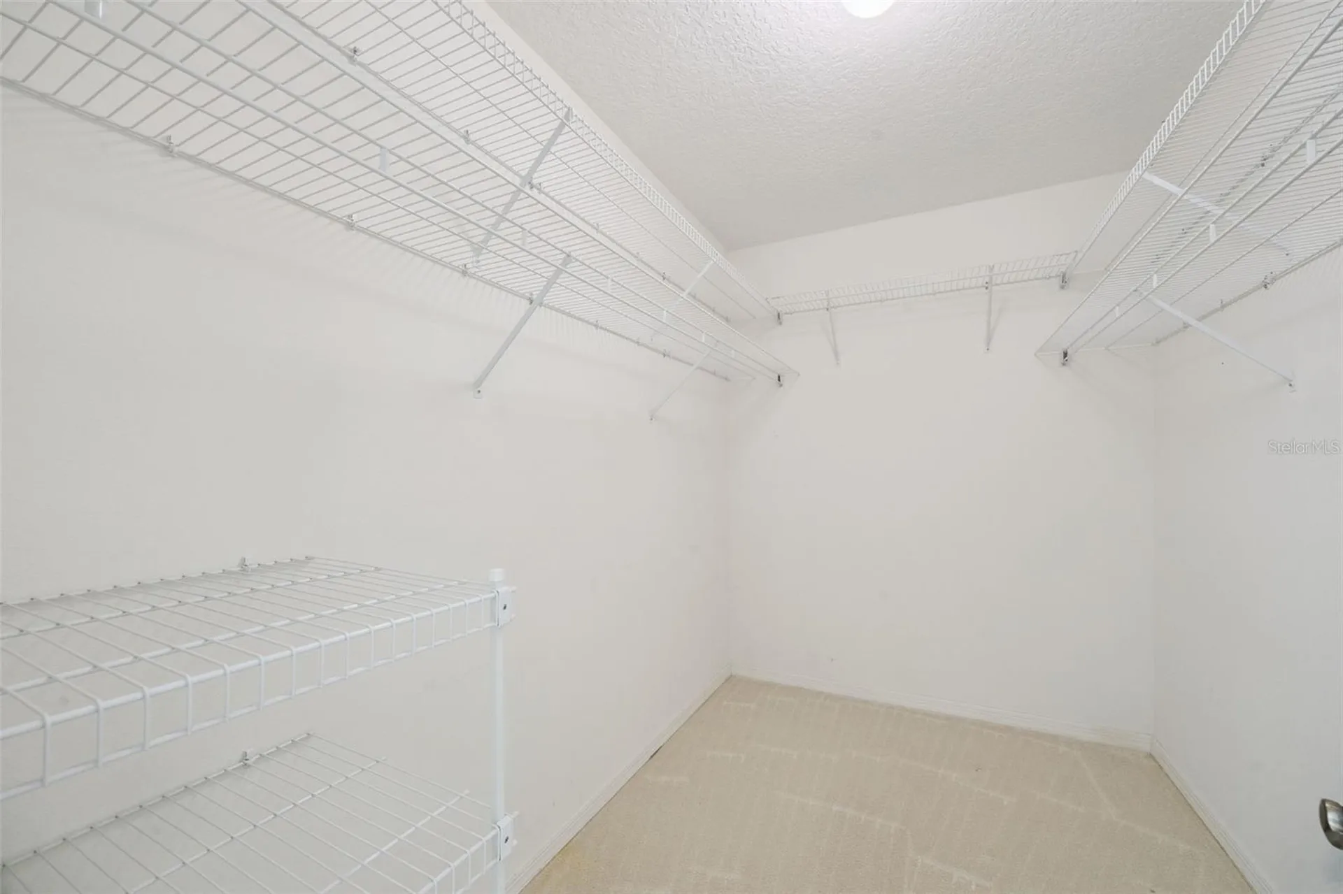 6441 Wilander Street Leesburg FL 34748