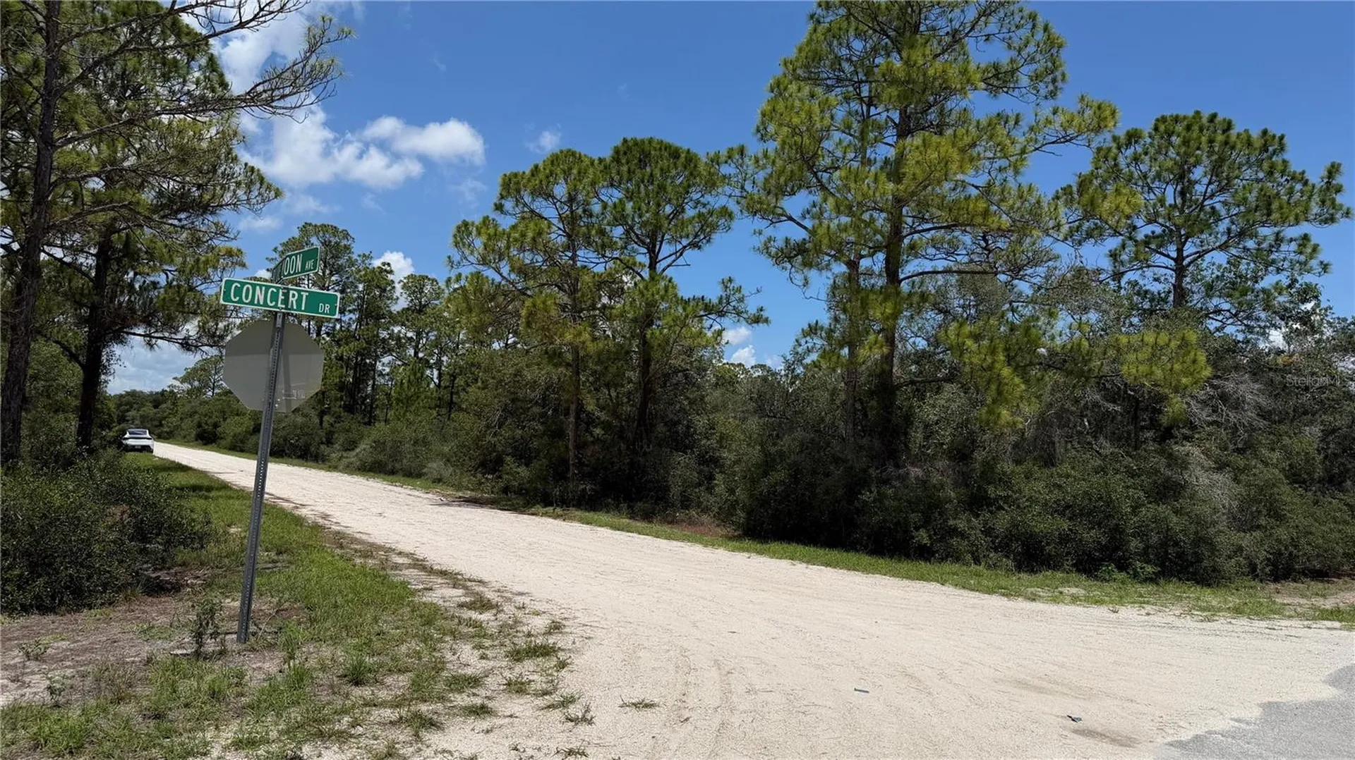 346 Blue Moon Avenue Lake Placid FL 33852