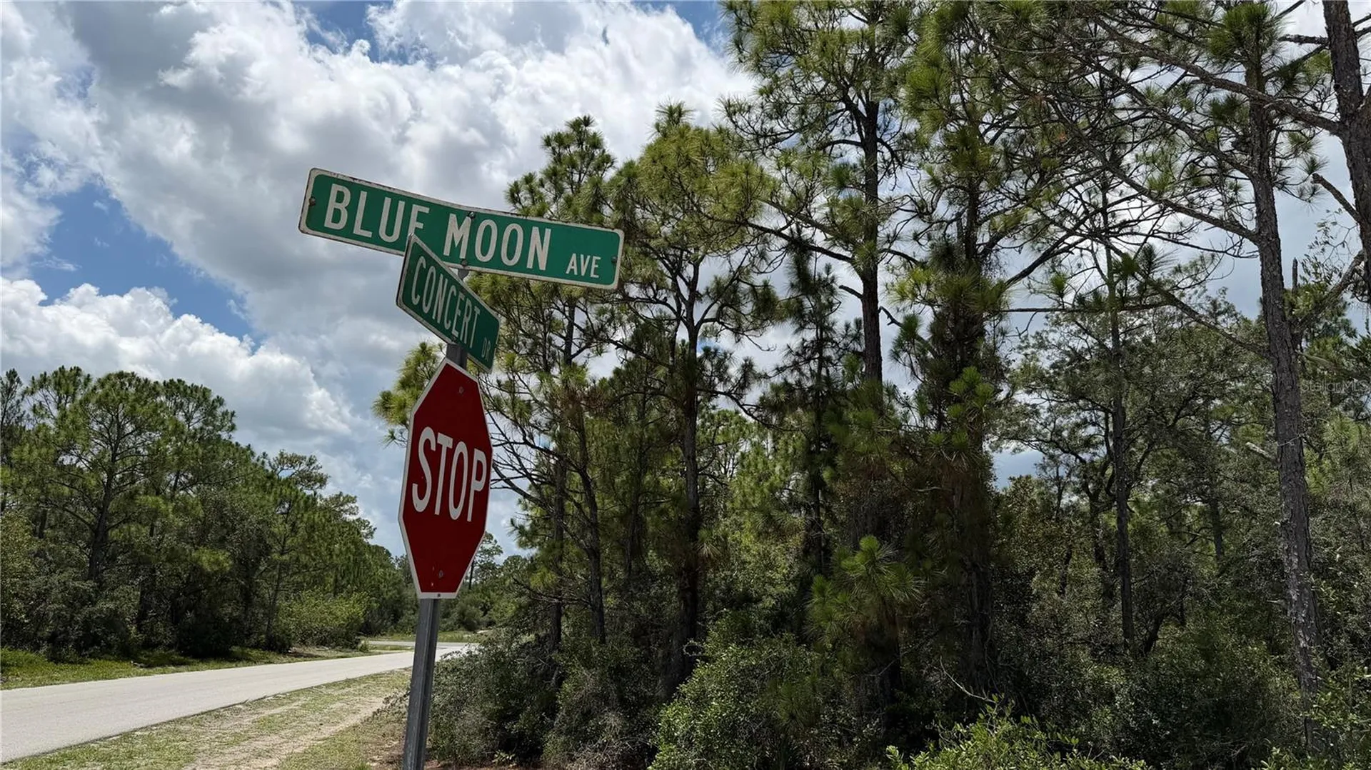 346 Blue Moon Avenue Lake Placid FL 33852