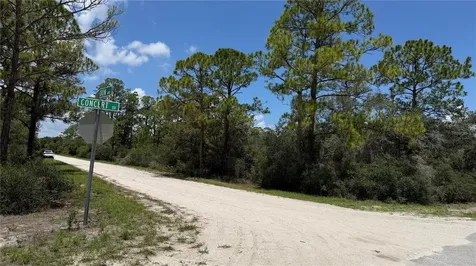 346 Blue Moon Avenue Lake Placid FL 33852