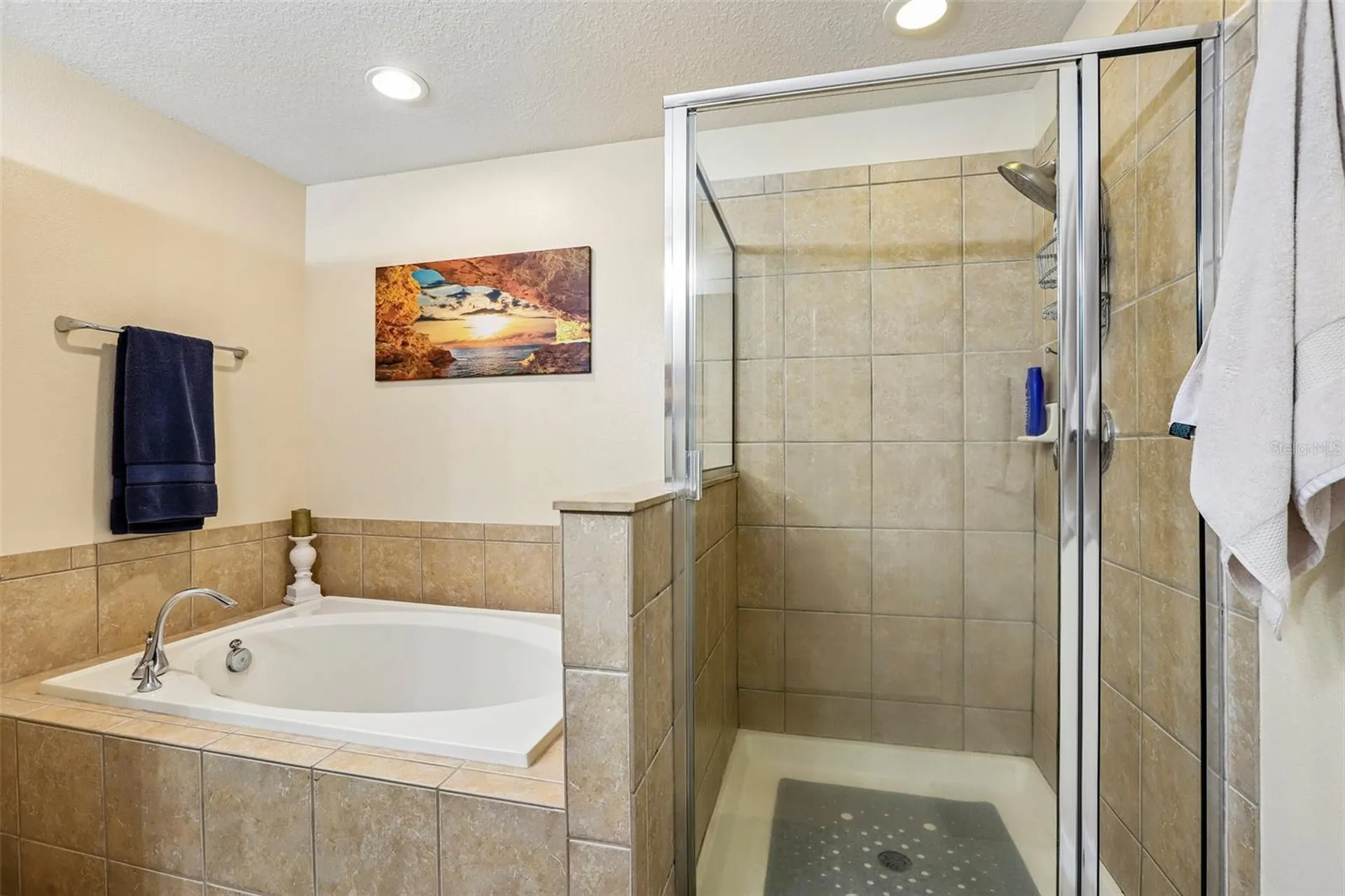 20306 Starfinder Way Tampa FL 33647