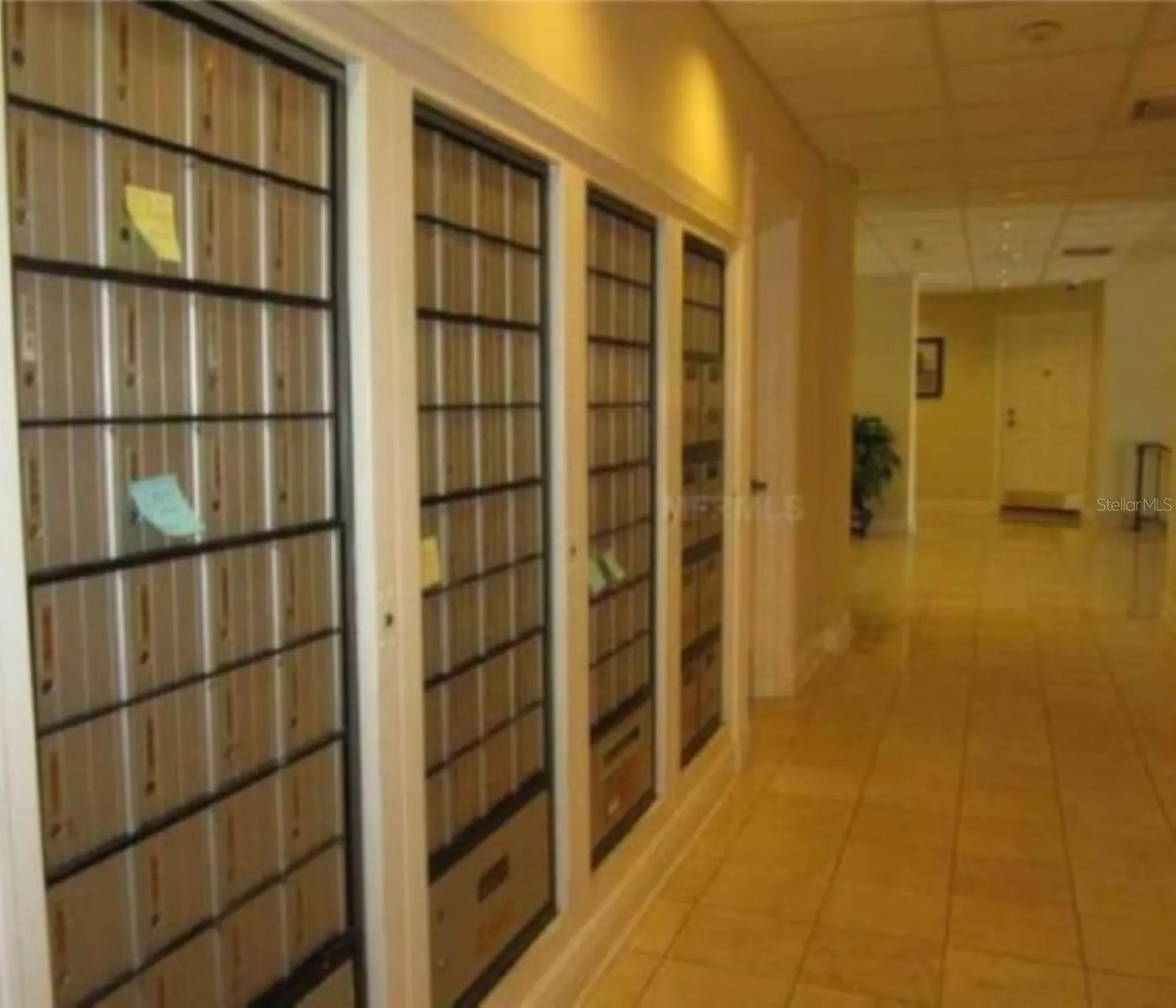 2109 Bayshore Boulevard Tampa FL 33606