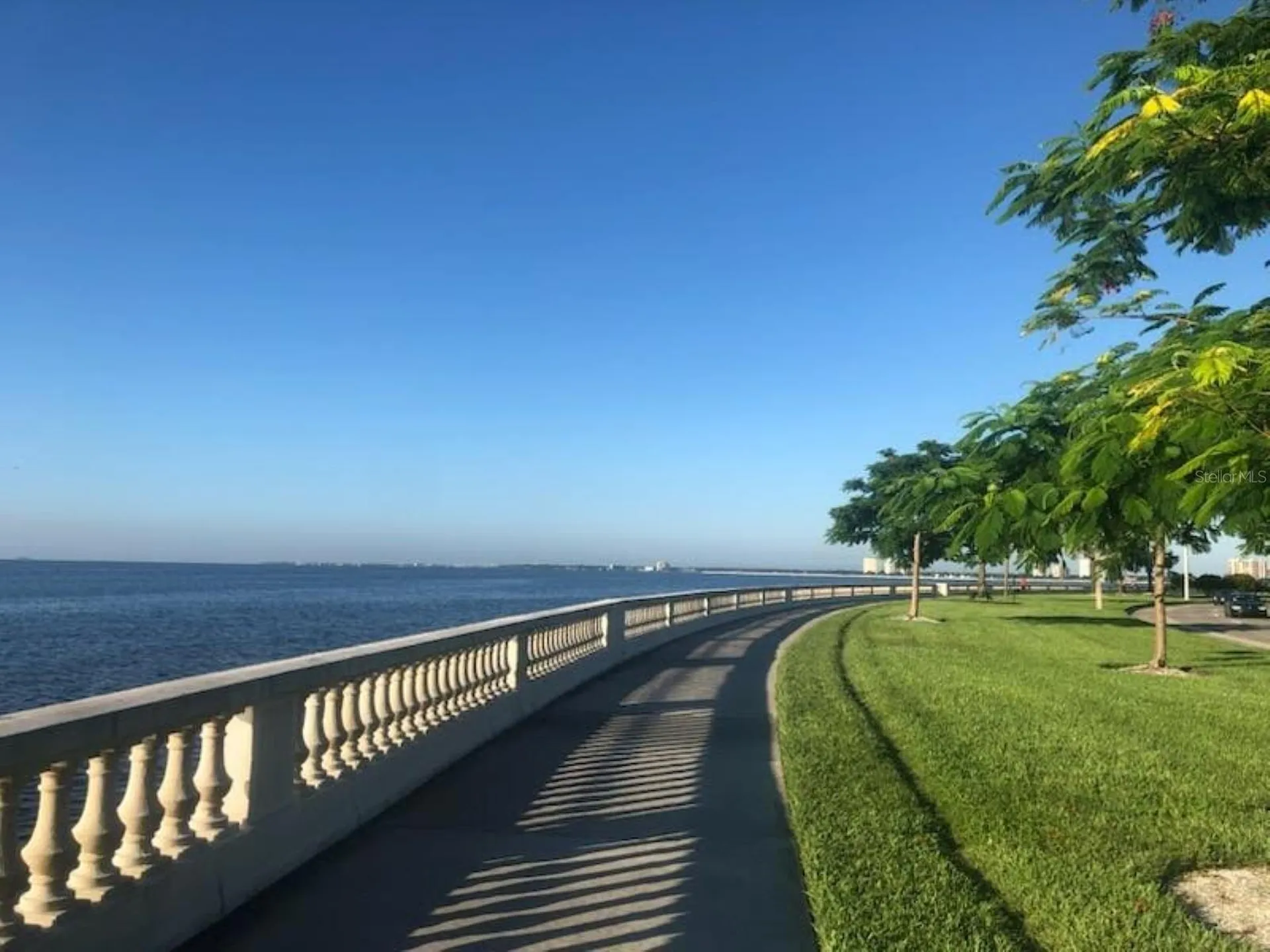 2109 Bayshore Boulevard Tampa FL 33606