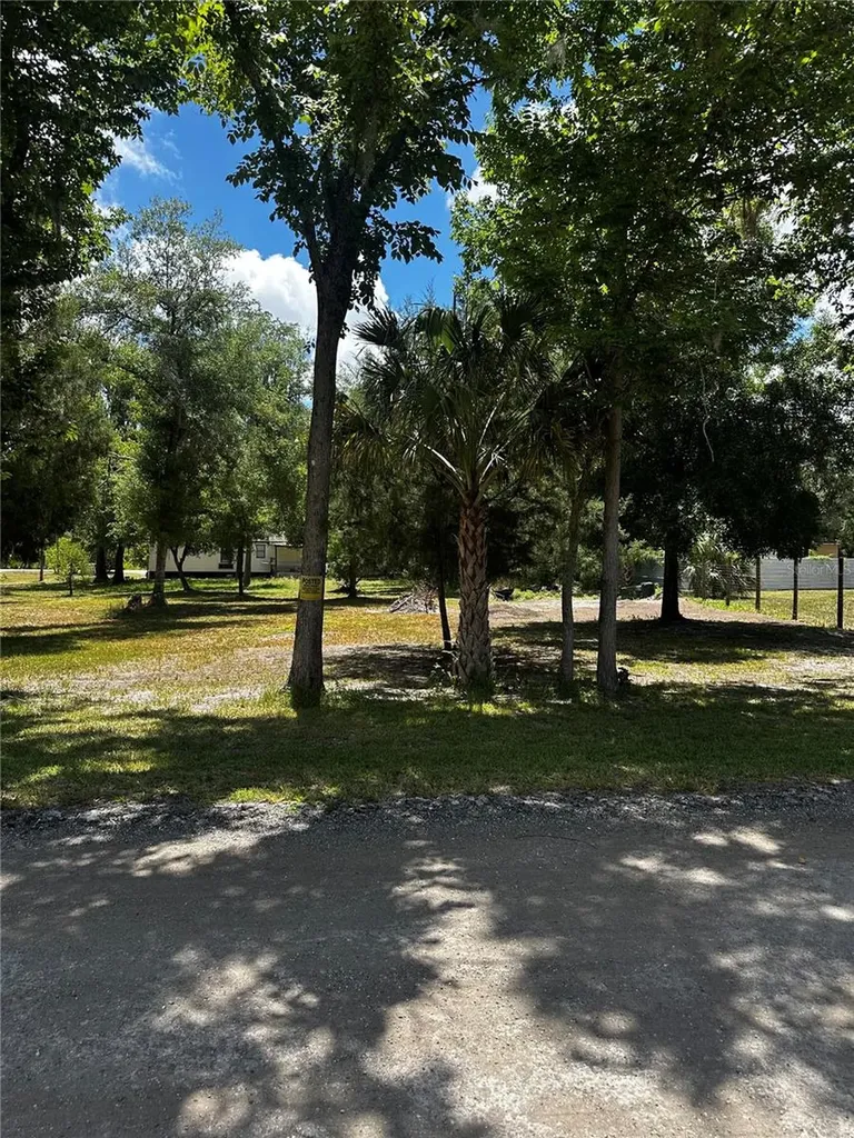 Estelle Street New Port Richey FL 34654
