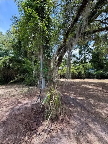 424 Margaret Street Bronson FL 32621