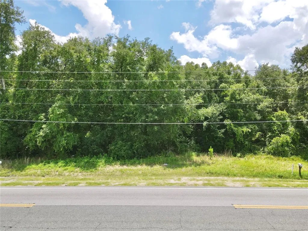 SE Highway 42 Weirsdale FL 32195