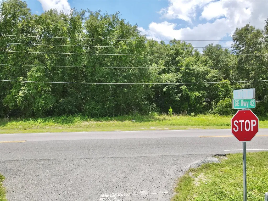 SE Highway 42 Weirsdale FL 32195