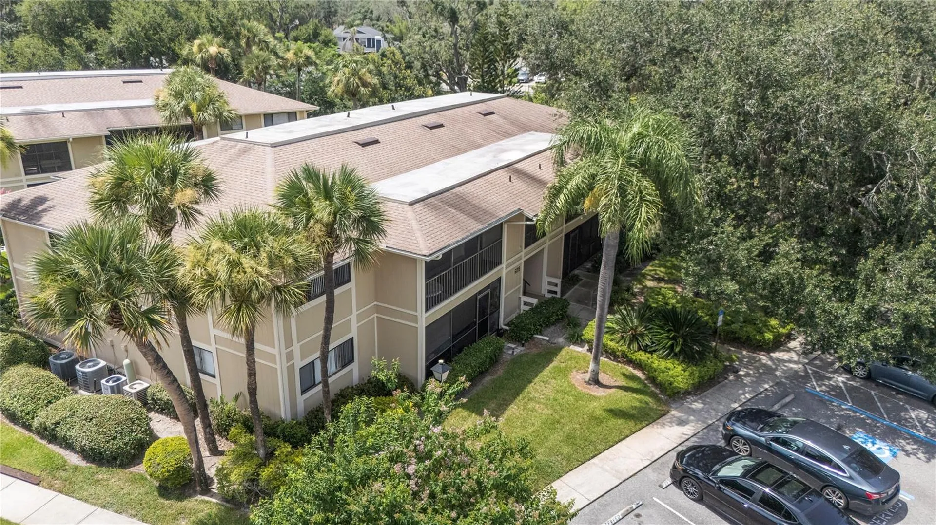 6018 Laktree Lane Temple Terrace FL 33617