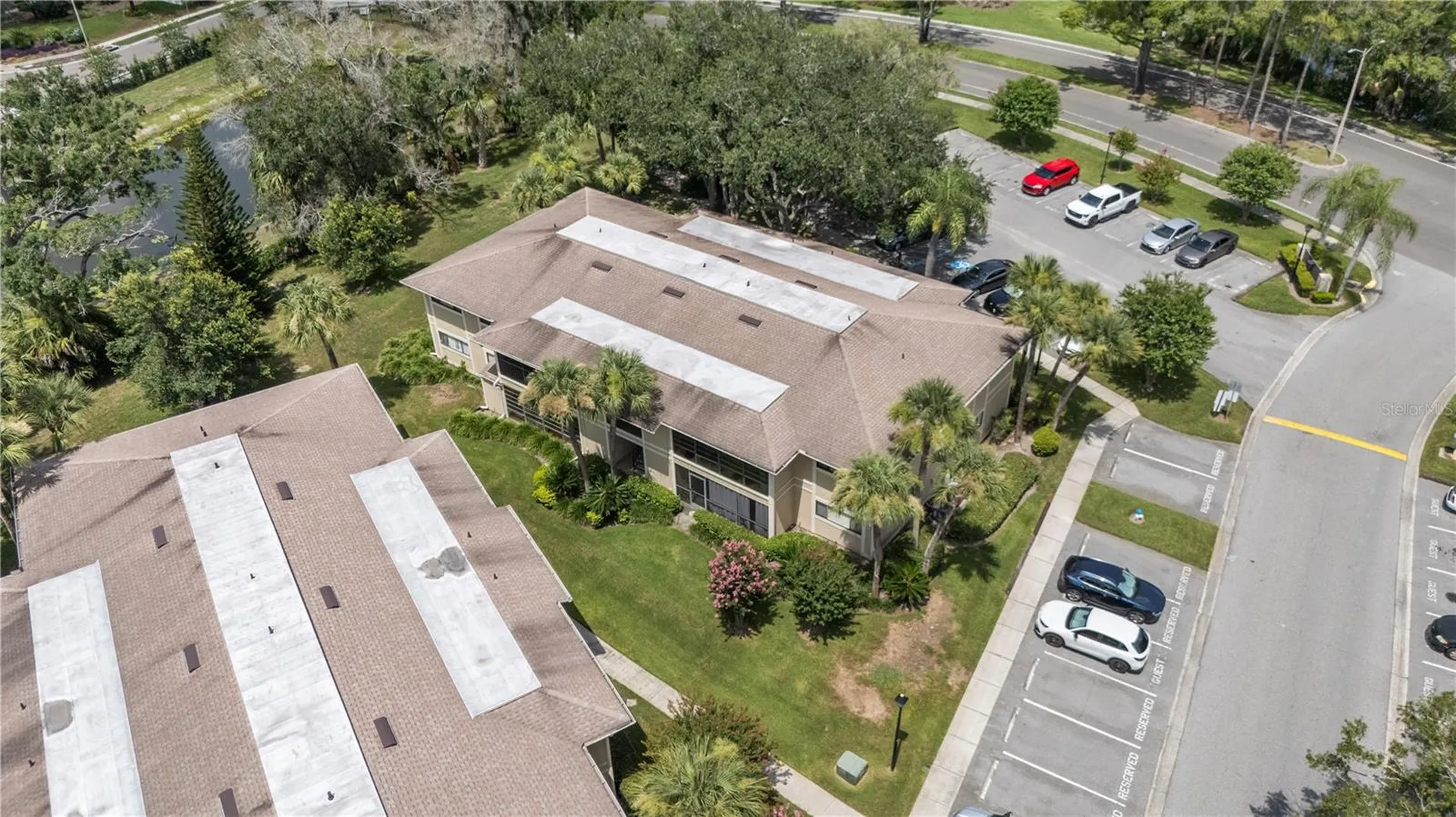 6018 Laktree Lane Temple Terrace FL 33617