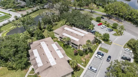 6018 Laktree Lane Temple Terrace FL 33617