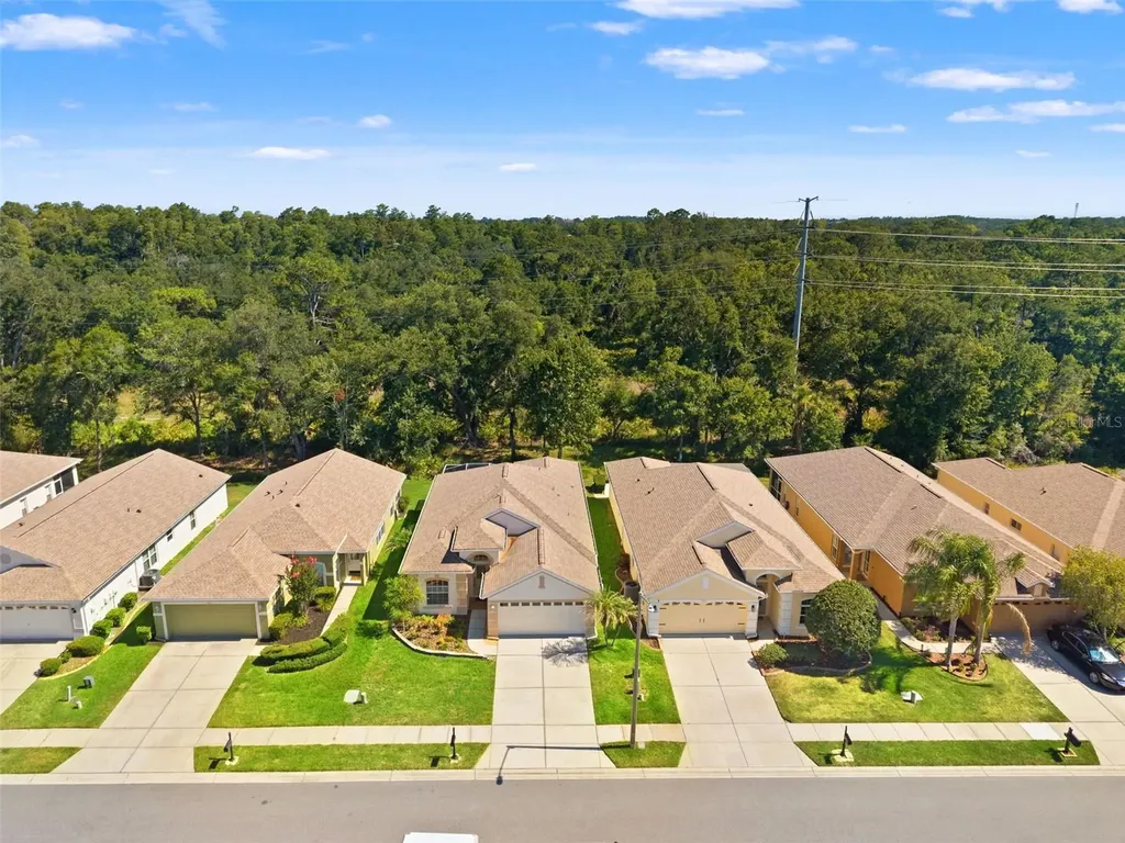 2913 Banyan Hill Lane Land O Lakes FL 34639