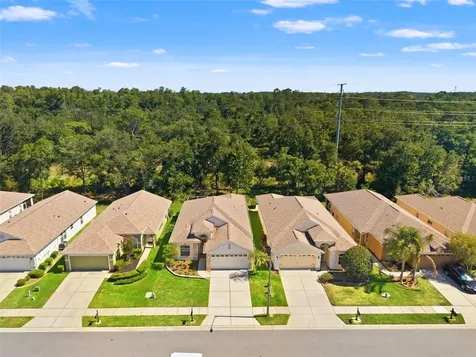 2913 Banyan Hill Lane Land O Lakes FL 34639