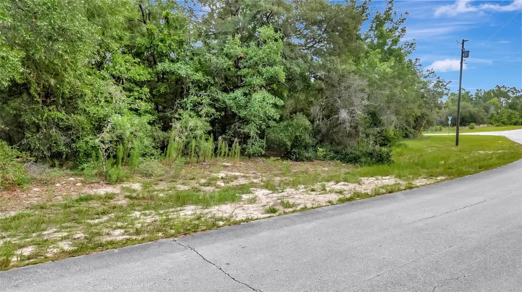 Willmington Drive Ocala FL 34473