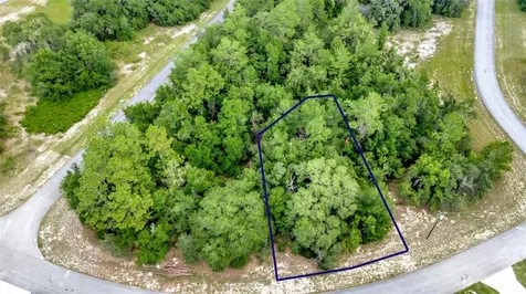 Willmington Drive Ocala FL 34473