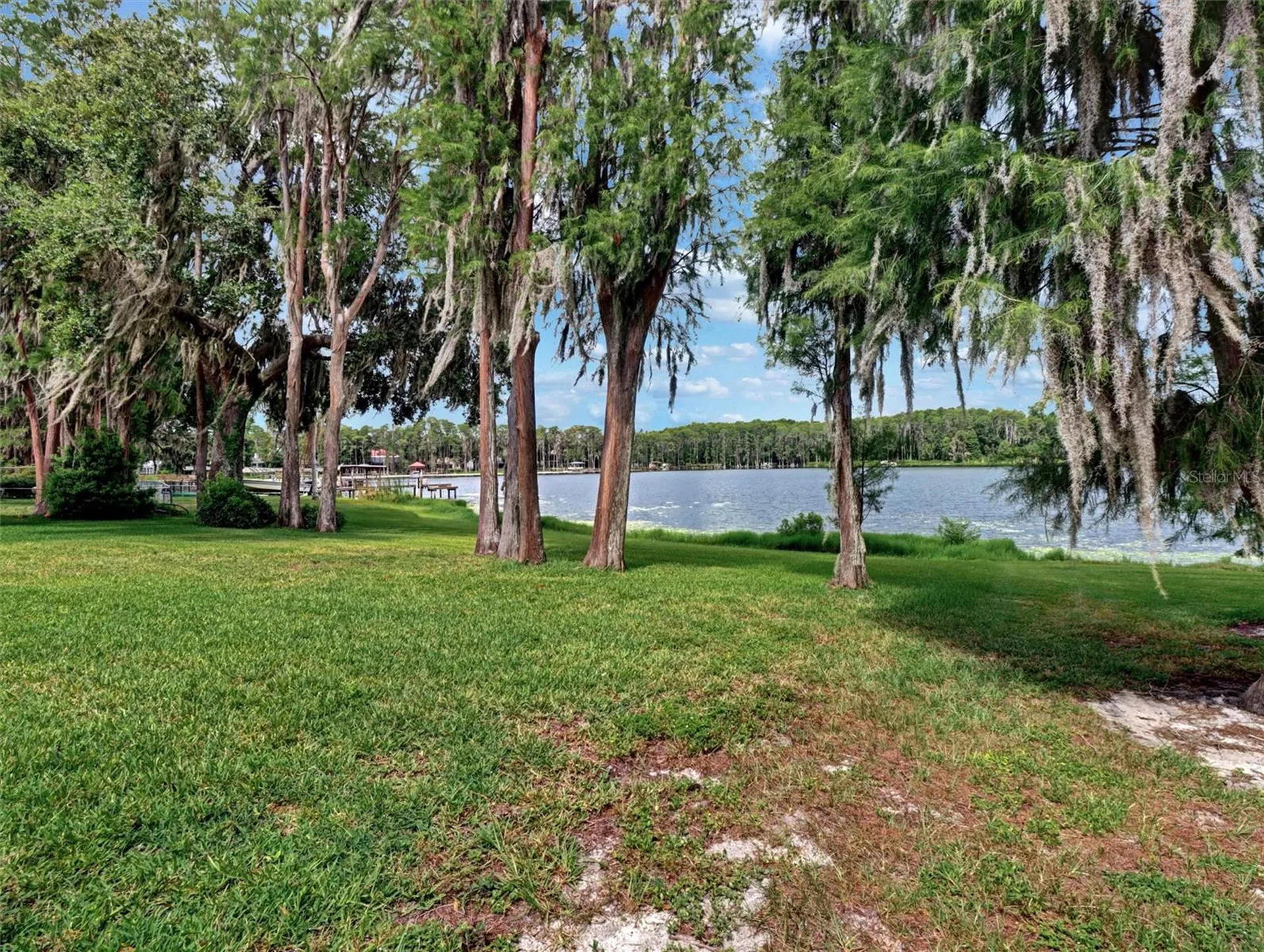 16110 Armistead Lane Odessa FL 33556