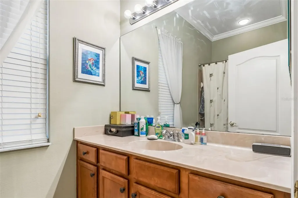 23305 Gracewood Circle Land O Lakes FL 34639