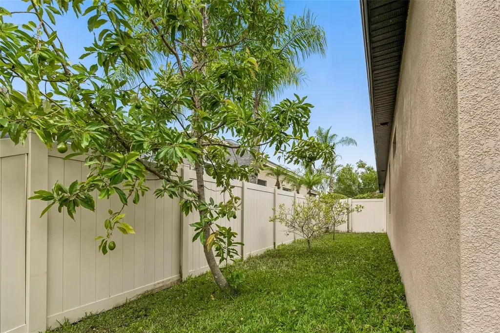 23305 Gracewood Circle Land O Lakes FL 34639