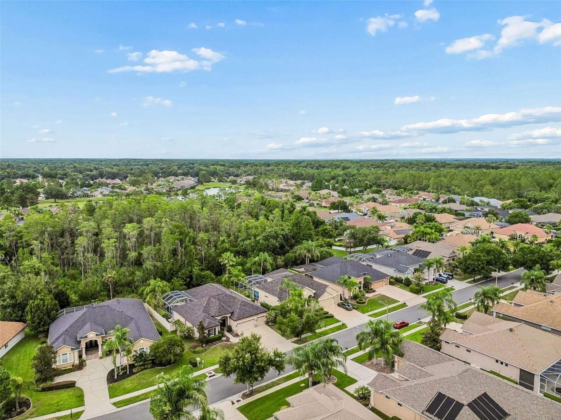 23305 Gracewood Circle Land O Lakes FL 34639