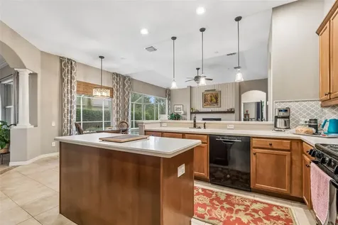 23305 Gracewood Circle Land O Lakes FL 34639