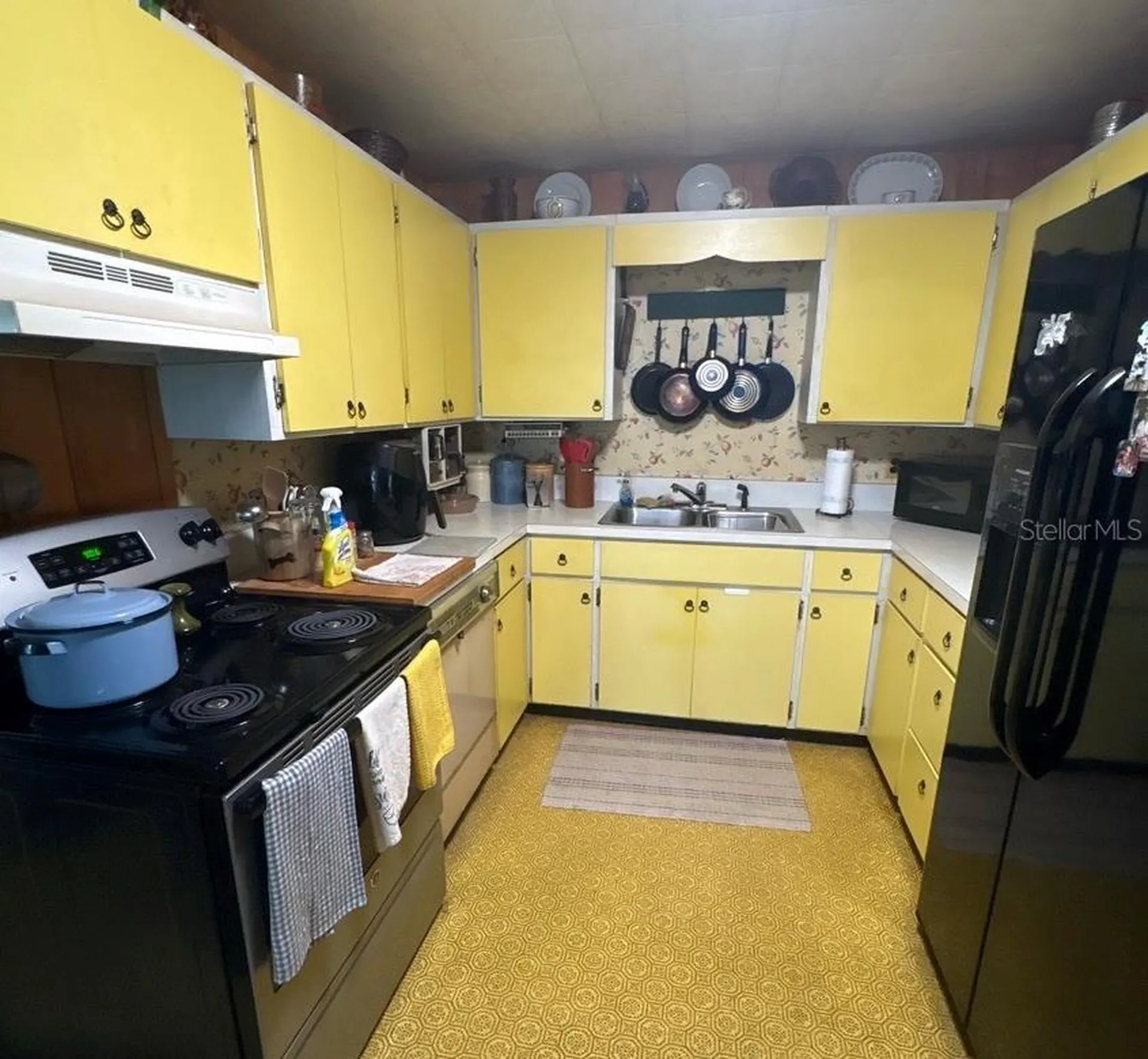 12034 Pine Court Leesburg FL 34788