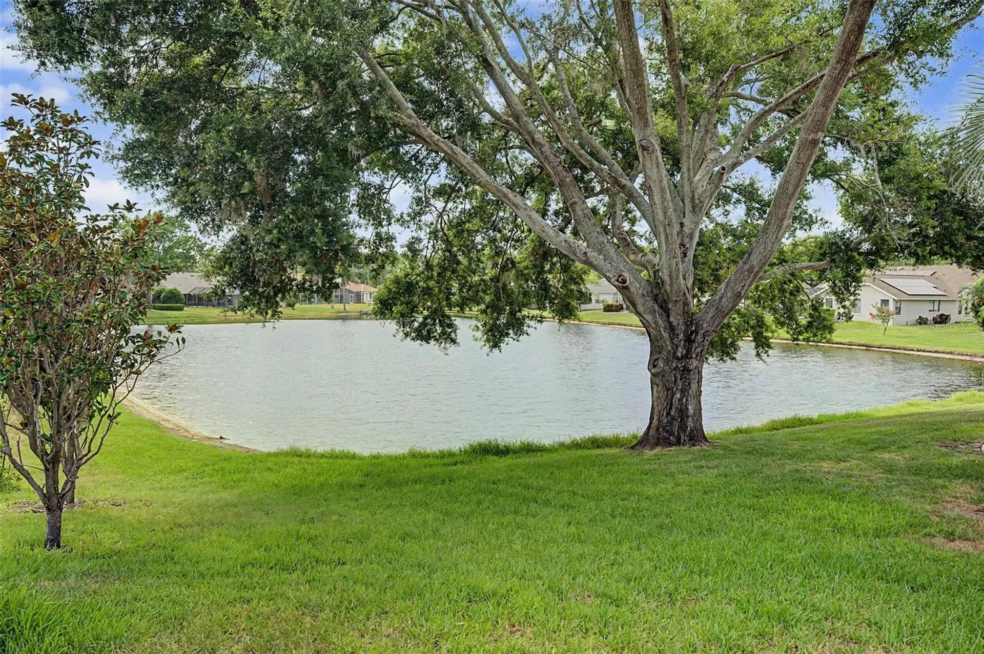 3781 Executive Drive Palm Harbor FL 34685