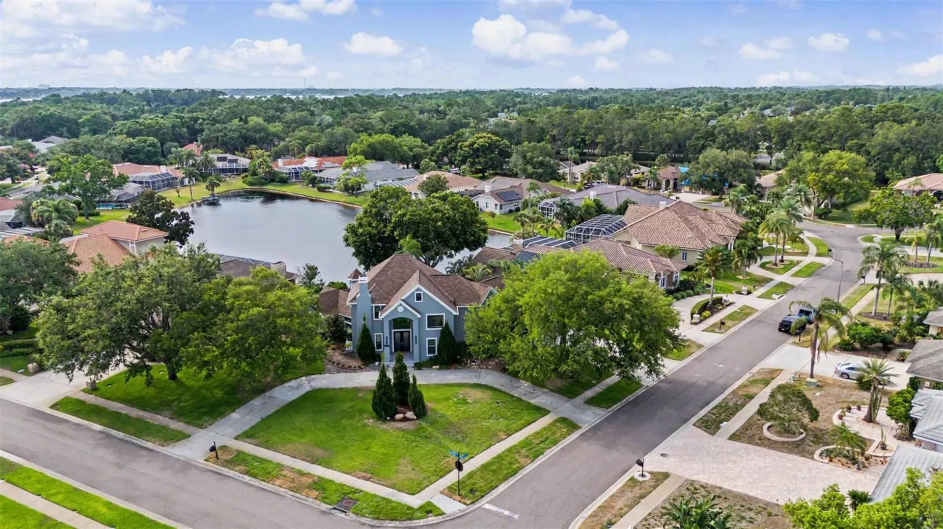 3781 Executive Drive Palm Harbor FL 34685