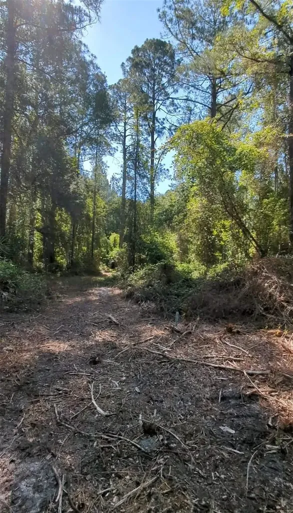 SW 126th Ave, Lake Butler Lake Butler FL 32054