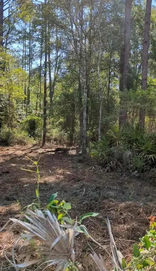 SW 126th Ave, Lake Butler Lake Butler FL 32054