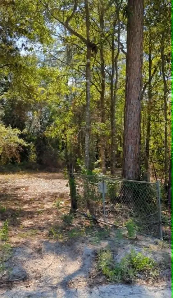 SW 126th Ave, Lake Butler Lake Butler FL 32054