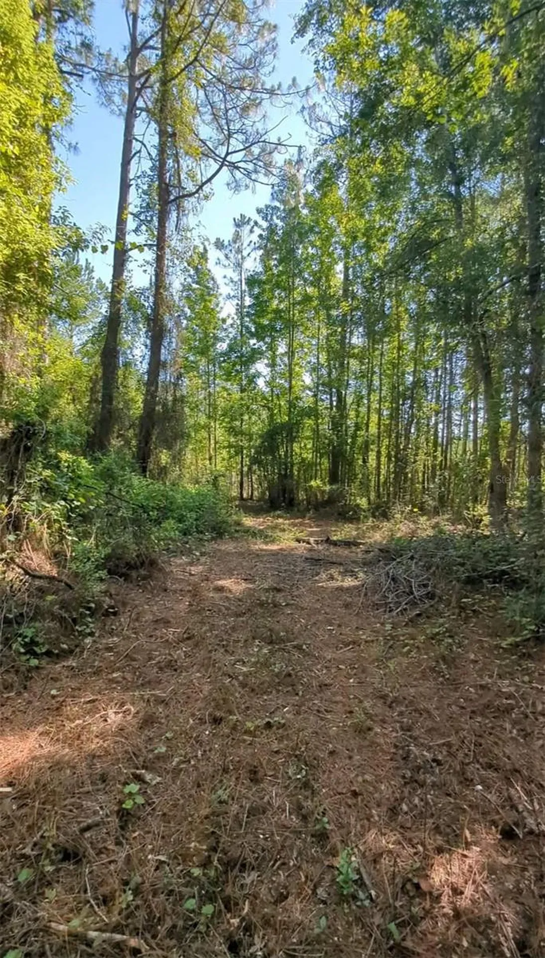 SW 126th Ave, Lake Butler Lake Butler FL 32054